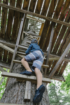 Killer Treehouse