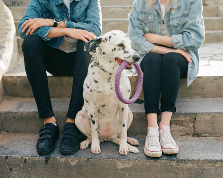 Couple with dog on stairs