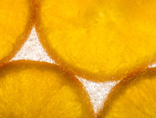 plasterki pomarańczy zamrożone w lodzie - obrazy, fototapety, plakaty