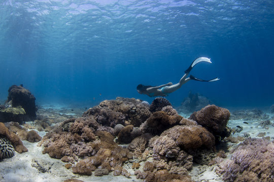 Female freediver swimming over the coral reef underwater