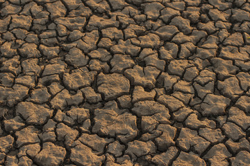 Land lying baked in the heat. The bottom of the dried up lake.