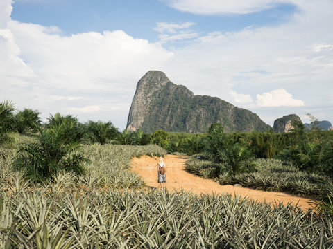 Person walking among plantation