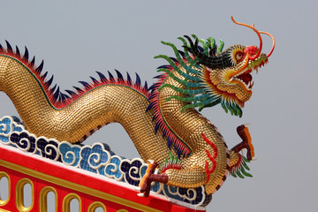 golden dragon in chinese temple