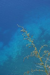 Fototapeta na wymiar Blue sea
