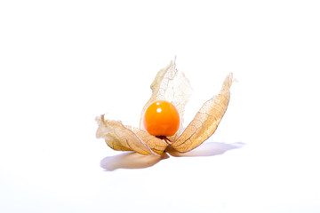 Physalis Solanaceae earthen cranberry bubble Physalis vegetable Physalis strawberry medicinal plant...
