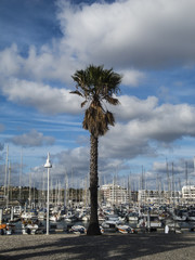 Hafen in Lagos an der Algarve