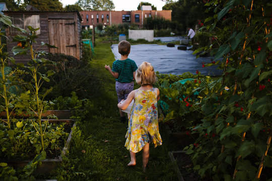 Children helping in an urban kitchen garden at dusk.
