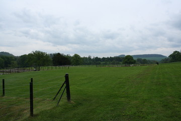 Fototapeta premium Northumberland Park, England