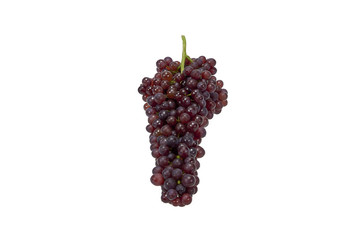 Grape Fruit