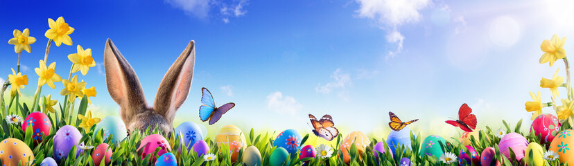 Easter - Bunny And Decorated Eggs In Flowery Field

