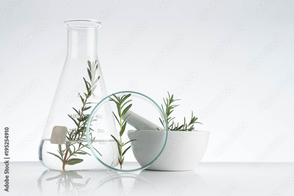 Wall mural laboratory and research with alternative herb medicine