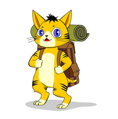 cute traveler cat
