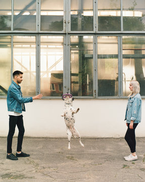 Couple playing with dog