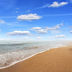 Beach and tropical sea.
