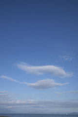 Obraz premium 空