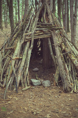 Den of branches in forest on sunny, spring day