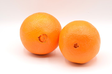 Citrus fruits arranged on a white background. 