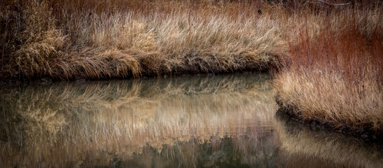 Delores River in Colorado