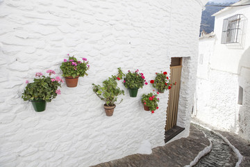 Fototapeta na wymiar Quiet pretty street with water channel and flowerpots in the wall, Alpujarras