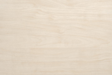 Light Wooden Background. Old Wood.