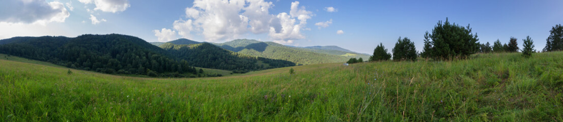 Beautiful summer panorama of lush vegetation in Altai Mountains