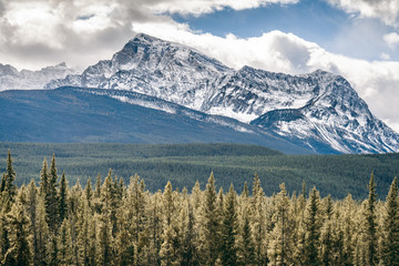 Snow-capped Mountain in National Park