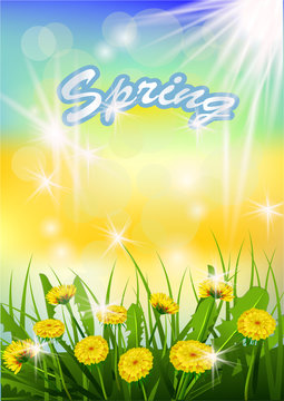 Vector illustration  Springtime on background with spring flowers. Dandelions.