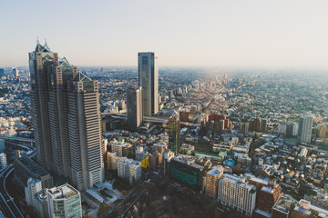 Tokyo Skyline