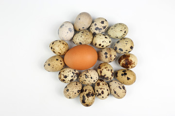Fototapeta na wymiar chicken and quail eggs on a white background