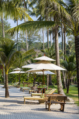 Fototapeta premium Sunbeds are on the beach and palm trees, Thailand