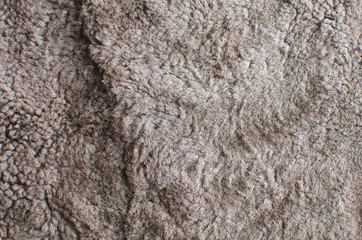 brown sheep skin-fleece, background image