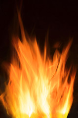 bonfire