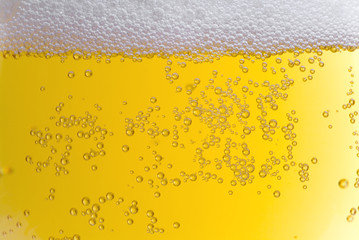 cerveja