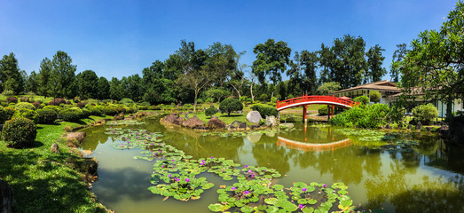 Japanese garden with red bridge and the pond