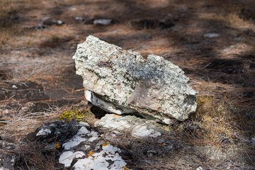 Big stone in Phu Kradueng National Park, Thailand