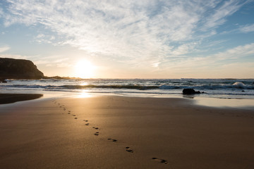 footprints Beach ocean - 195264395