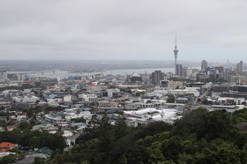 View of the city from the top of hill