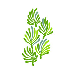 Green and white seaweed plant with leaves floral logo, vector