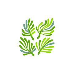 Green and white seaweed plant with leaves floral logo, vector