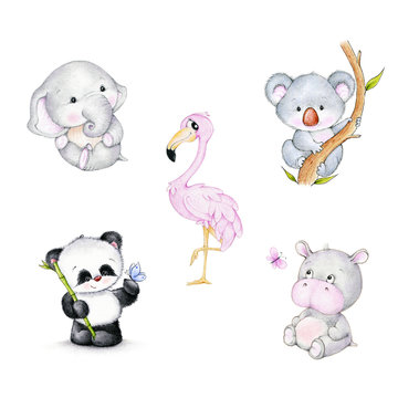 Set of wild animals: flamingo, elephant, koala, hippopotamus, panda, 