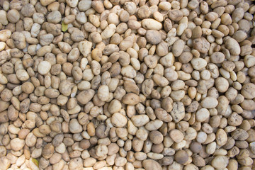 Coarse grained pebble stones. stones floor texture background.  White and brown in the garden or park.