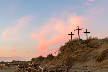 Obraz premium Strom Dune of Salvation