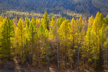 Autumn landscapes of Altai Republic, Russia.