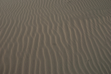 Ripples in sand