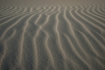 Ripples in sand
