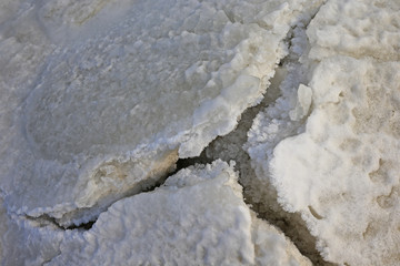 The winter sea ice