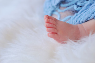 Close up picture of tiny baby feet