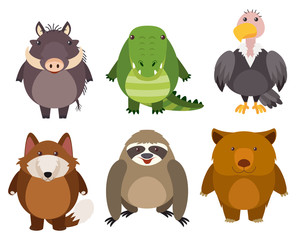 Wild animals on white background