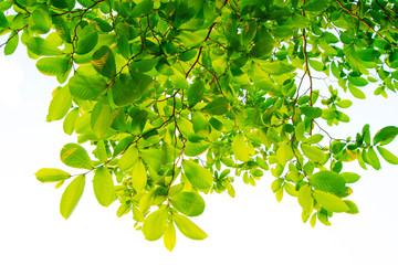 Licenses cannot be purchased online in your region You may search, save preview files and use your available licenses, but you cannot purchase additional licenses, an Adobe Stock subscription or on-de