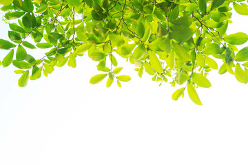 Obraz premium Licenses cannot be purchased online in your region You may search, save preview files and use your available licenses, but you cannot purchase additional licenses, an Adobe Stock subscription or on-de